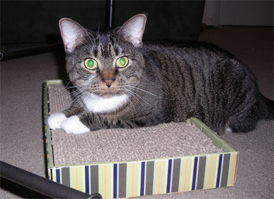 Her scratchy box